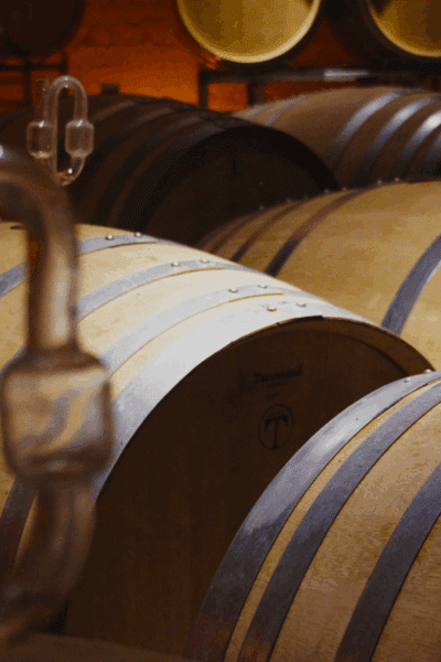 KellerGenuss – Walking Dinner & Wein